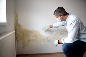 Why You Should Choose Our Mold Remediation Services in Tarrytown, NY